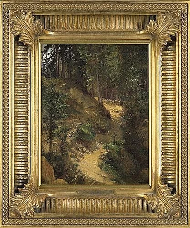 Sentiero di montagna